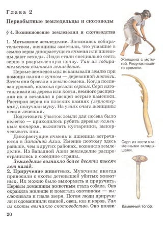 Г л а в а 2
Первобытные земледельцы и скотоводы
§ 4. Возникновение земледелия и скотоводства
1. Мотыжное земледелие. Занимаясь собира­
тельством, женщины заметили, что упавшие в
землю зерна дикорастущего ячменя или пшени­
цы дают всходы. Люди стали специально сеять
зерно в разрыхленную почву. Так из собира­
тельства возникло земледелие.
Первые земледельцы вскапывали землю при
помощи палки с сучком — деревянной мотыги.
Затем они бросали в землю семена. Когда поспе­
вал урожай, колосья срезали серпом. Серп изго­
тавливали из дерева или кости, немного расщеп­
ляя их и вставляя в расщеп острые камешки.
Растирая зерна на плоских камнях (зернотер­
ках ), получали муку. На углях очага женщины
пекли лепешки.
Подготовить участок земли для посева было
нелегко — приходилось рубить деревья камен­
ным топором, выжигать кустарники, выкор­
чевывать пни.
Дикорастущие ячмень и пшеница встреча­
ются в Западной Азии. Именно поэтому здесь
раньше, чем в других районах, возникло земле­
делие. Из Западной Азии земледелие распро­
странилось в соседние страны.
Земледелие возникло более десяти тысяч
лет назад.
2. Приручение животных. Мужчины иногда
приносили с охоты детенышей убитых живот­
ных. Их можно было выкормить и приручить.
Первым домашним животным стала собака. Она
охраняла жилище и помогала охотникам — вы­
слеживала и гнала зверя. Потом люди приручи­
ли и одомашнили свиней, овец, коз и коров. Так
из охоты возникло скотоводство. Оно появи­
Женщина с моты­
гой. Рисунок наше­
го времени.
Серп из кости с ка­
менными вклады­
шами.
и
Каменным топор.
20
 