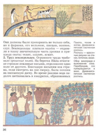 Они должны были прокормить не только себя,
но и фараона, его вельмож, писцов, воинов,
слуг. Земледельцы платили налоги — отдава­
ли в казну значительную часть урожая и при­
плода скота: телят, козлят, ягнят.
2. Труд земледельцев. Огромного труда требо­
вало орошение полей. На берегах Нила египтя­
не строили земляные насыпи, отделявшие одно
поле от другого. Благодаря насыпям вся стра­
на, если смотреть на нее сверху, была похожа
на шахматную доску. Во время разлива вода на­
долго застаивалась в квадратах, образованных
Пахота, посев и
жатва. Древнееги­
петская настенная
роспись.
Роспись — красоч­
ные рисунки на сте­
нах, потолках, вазах.
Сбор винограда и
выжимание сока.
Перебродив, сок
превращается в
вино. Древнееги­
петская настенная
роспись.
36
 