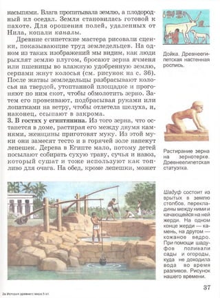 насыпями. Влага пропитывала землю, а плодород­
ный ил оседал. Земля становилась готовой к
пахоте. Для орошения полей, удаленных от
Нила, копали к а н а л ы .
Древние египетские мастера рисовали сцен­
ки, показывающие труд земледельцев. На од­
ном из таких изображений мы видим, как люди
рыхлят землю плугом, бросают зерна ячменя
или пшеницы во влажную удобренную землю,
серпами жнут колосья (см. рисунок на с. 36).
После жатвы земледельцы разбрасывают коло­
сья на твердой, утоптанной площадке и прого­
няют по ним скот, чтобы обмолотить зерно. За­
тем его провеивают, подбрасывая руками или
лопатками на ветру, чтобы отлетела шелуха, и,
наконец, ссыпают в закрома.
3. В гостях у египтянина. Из того зерна, что ос­
танется в доме, растирая его между двумя кам­
нями, женщины приготовят муку. Из этой му­
ки они замесят тесто и в горячей золе напекут
лепешек. Дерева в Египте мало, потому детей
посылают собирать сухую траву, сучья и навоз,
который сушат и тоже используют как топ­
ливо для очага. На обед, кроме лепешки, может
37
Дойка. Древнееги­
петская настенная
роспись.
Растирание зерна
на зернотерке.
Древнеегипетская
статуэтка.
Шадуф состоит из
врытых в землю
столбов, перекла­
дины между ними и
качающейся на ней
жерди. На одном
конце жерди — ка­
мень, на другом —
кожаное ведро.
При помощи шаду-
фов поливали
сады и огороды,
куда не доходила
вода во время
разливов. Рисунок
нашего времени.
2а История древнего мира.5 кл.
 
