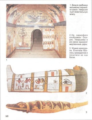 1 .Вход в гробницу
вельможи охраня­
ет сокол. Умерший
пьет живительную
влагу.
2 .На саркофаге
изображен Оси­
рис. Умершему и
его жене приносят
жертвенные дары.
3. Мумия крокоди­
ла. Египтяне боя­
лись крокодилов и
почитали их как
богов.
58
 
