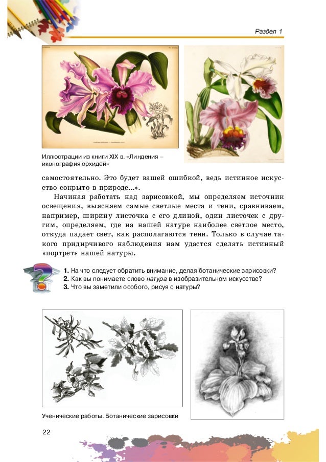 Russian Bazaar 814 November 25 By Russian Bazaar Newspaper Issuu