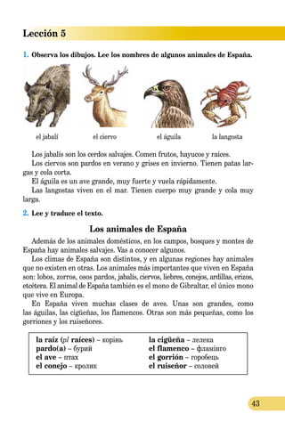 Lección 5
43
1.	Observa los dibujos. Lee los nombres de algunos animales de España.
el jabalí el ciervo el águila la langosta
Los jabalís son los cerdos salvajes. Comen frutos, hayucos y raíces.
Los ciervos son pardos en verano y grises en invierno. Tienen patas lar-
gas y cola corta.
El águila es un ave grande, muy fuerte y vuela rápidamente.
Las langostas viven en el mar. Tienen cuerpo muy grande y cola muy
larga.
2.	Lee y traduce el texto.
Los animales de España
Además de los animales domésticos, en los campos, bosques y montes de
España hay animales salvajes. Vas a conocer algunos.
Los climas de España son distintos, y en algunas regiones hay animales
que no existen en otras. Los animales más importantes que viven en España
son: lobos, zorros, osos pardos, jabalís, ciervos, liebres, conejos, ardillas, erizos,
etcétera. El animal de España también es el mono de Gibraltar, el único mono
que vive en Europa.
En España viven muchas clases de aves. Unas son grandes, como
las águilas, las cigüeñas, los flamencos. Otras son más pequeñas, como los
gorriones y los ruiseñores.
la raíz (pl raíces) – корінь
pardo(a) – бурий
el ave – птах
el conejo – кролик
la cigüeña – лелека
el flamenco – фламінго
el gorrión – горобець
el ruiseñor – соловей
 