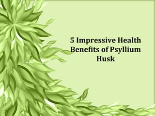 5 Impressive Health
Benefits of Psyllium
Husk
 