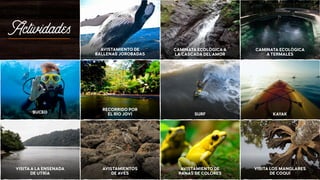 RECORRIDO POR
EL RÍO JOVÍ SURF KAYAK
VISITAA LA ENSENADA
DE UTRÍA
AVISTAMIENTOS
DE AVES
AVISTAMIENTO DE
RANAS DE COLORES
VISITA LOS MANGLARES
DE COQUÍ
Actividades
CAMINATA ECOLÓGICAA
LA CASCADA DELAMOR
CAMINATA ECOLÓGICA
ATERMALES
BUCEO
AVISTAMIENTO DE
BALLENAS JOROBADAS
Actividades
 