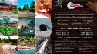 El Ecolodge Nautilos playa Guachalito, se encuentra ubicado en cercanías
al municipio de Nuquí, para llegar a nuestras instalaciones se hace
recorrido en lancha bordeando costa por aproximadamente 30 minutos.
www.nuquinautilos.com
8 habitaciones
Todas con
baño privado
Playa
Restaurante
Cancha de
Voleyball
Bar
ADULTO
NIÑO*
$1.590.000
$1.490.000
PUENTES FESTIVOS
SALIDAS DE LUNES A VIERNES O DE VIERNES A LUNES
ADULTO
NIÑO*
$1.490.000
$1.350.000
DÍAS CORRIENTES
TARIFAS - TEMPORADA DE BALLENAS
Impuesto entrada Nuquí ($7.000).
Gastos personales y no
especiﬁcados.
Seguro hotelero.
Asistencia médica.
NO INCLUYE
Tiquete aéreo Pereira - Nuquí - Pereira con
cargos incluídos, equipaje de bodega 10kg y
de mano 5kg.
Traslado en lancha desde Nuquí - Hotel
(Playas de Guachalito) - Nuquí.
Alimentación: Desayuno, almuerzo y cena.
Caminata Cascada del Amor.
Salida para avistamiento de ballenas.
INCLUYE
*(Niños hasta los 11 años)
 