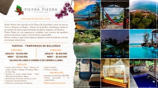 Piedra Piedra está ubicado en las Playas de Guachalito, entre los morros
Terco y Terquito, en Nuquí – Chocó, en el pacíﬁco colombiano, donde se
encuentran la selva tropical húmeda, las playas vírgenes y el Océano.
Piedra Piedra es una experiencia completa, una vivencia de equilibrio
entre la naturaleza virgen y el ecoturismo responsable.
Piedra, madera y paja crean espacios donde se unen la tradición y el uso
de energías alternativas
www.piedrapiedra.com
ADULTO
NIÑO*
$1.510.000
$1.310.000
3 NOCHES 4 NOCHES
TARIFAS - TEMPORADA DE BALLENAS
Impuesto entrada Nuquí ($7.000).
Gastos personales y no
especiﬁcados.
Seguro hotelero.
Asistencia médica.
NO INCLUYE
Tiquete aéreo Pereira - Nuquí - Pereira con
cargos incluídos, equipaje de bodega 10kg y
de mano 5kg.
Traslado en lancha desde Nuquí - Hotel
(Playas de Guachalito) - Nuquí.
Alimentación: Desayuno, almuerzo y cena.
Caminata Cascada del Amor.
Salida para avistamiento de ballenas.
INCLUYE
ADULTO
NIÑO*
$1.810.000
$1.610.000
*(Niños hasta los 11 años)
SALIDAS DE LUNES AVIERNES O DE VIERNES A LUNES
 