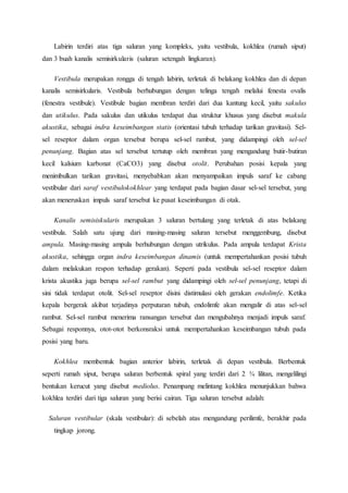 Labirin terdiri atas tiga saluran yang kompleks, yaitu vestibula, kokhlea (rumah siput)
dan 3 buah kanalis semisirkularis (saluran setengah lingkaran).
Vestibula merupakan rongga di tengah labirin, terletak di belakang kokhlea dan di depan
kanalis semisirkularis. Vestibula berhubungan dengan telinga tengah melalui fenesta ovalis
(fenestra vestibule). Vestibule bagian membran terdiri dari dua kantung kecil, yaitu sakulus
dan utikulus. Pada sakulus dan utikulus terdapat dua struktur khusus yang disebut makula
akustika, sebagai indra keseimbangan statis (orientasi tubuh terhadap tarikan gravitasi). Sel-
sel reseptor dalam organ tersebut berupa sel-sel rambut, yang didampingi oleh sel-sel
penunjang. Bagian atas sel tersebut tertutup oleh membran yang mengandung butir-butiran
kecil kalsium karbonat (CaCO3) yang disebut otolit. Perubahan posisi kepala yang
menimbulkan tarikan gravitasi, menyebabkan akan menyampaikan impuls saraf ke cabang
vestibular dari saraf vestibulokokhlear yang terdapat pada bagian dasar sel-sel tersebut, yang
akan meneruskan impuls saraf tersebut ke pusat keseimbangan di otak.
Kanalis semisiskularis merupakan 3 saluran bertulang yang terletak di atas belakang
vestibula. Salah satu ujung dari masing-masing saluran tersebut menggembung, disebut
ampula. Masing-masing ampula berhubungan dengan utrikulus. Pada ampula terdapat Krista
akustika, sehingga organ indra keseimbangan dinamis (untuk mempertahankan posisi tubuh
dalam melakukan respon terhadap gerakan). Seperti pada vestibula sel-sel reseptor dalam
krista akustika juga berupa sel-sel rambut yang didampingi oleh sel-sel penunjang, tetapi di
sini tidak terdapat otolit. Sel-sel reseptor disini distimulasi oleh gerakan endolimfe. Ketika
kepala bergerak akibat terjadinya perputaran tubuh, endolimfe akan mengalir di atas sel-sel
rambut. Sel-sel rambut menerima ransangan tersebut dan mengubahnya menjadi impuls saraf.
Sebagai responnya, otot-otot berkonsraksi untuk mempertahankan keseimbangan tubuh pada
posisi yang baru.
Kokhlea membentuk bagian anterior labirin, terletak di depan vestibula. Berbentuk
seperti rumah siput, berupa saluran berbentuk spiral yang terdiri dari 2 ¾ lilitan, mengelilingi
bentukan kerucut yang disebut mediolus. Penampang melintang kokhlea menunjukkan bahwa
kokhlea terdiri dari tiga saluran yang berisi cairan. Tiga saluran tersebut adalah:
Saluran vestibular (skala vestibular): di sebelah atas mengandung perilimfe, berakhir pada
tingkap jorong.
 