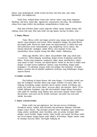 lainnya yang mempengaruhi bantuk kornea dan lensa atau bola mata, yaitu miopi,
hipermetropi dan astigmatisma.
Selain lensa, terdapat humor kedua yaitu vitreous humor yang semua bagiannya
dikelilingi oleh lensa, badan siliar, ligamentum suspensorium dan retina. Dia membiarkan
cahaya lewat tanpa refraksi dan membantu mempertahankan bentuk mata.
Bola mata terbenam dalam corpus adiposum orbitae, namun terpisah darinya oleh
selubung fascia bola mata. Bola mata terdiri atas tiga lapisan dari luar ke dalam, yaitu :
1. Tunica Fibrosa
Tunica fibrosa terdiri atas bagian posterior yang opaque atau sklera dan bagian
anterior yang transparan atau kornea. Sklera merupakan jaringan ikat padat fibrosa
dan tampak putih. Daerah ini relatif lemah dan dapat menonjol ke dalam bola mata
oleh perbesaran cavum subarachnoidea yang mengelilingi nervus opticus. Jika
tekanan intraokular meningkat, lamina fibrosa akan menonjol ke luar yang
menyebabkan discus menjadi cekung bila dilihat melalui oftalmoskop.
Sklera juga ditembus oleh n. ciliaris dan pembuluh balik yang terkait yaitu
vv.vorticosae. Sklera langsung tersambung dengan kornea di depannya pada batas
limbus. Kornea yang transparan, mempunyai fungsi utama merefraksikan cahaya
yang masuk ke mata. Tersusun atas lapisan-lapisan berikut ini dari luar ke dalam sama
dengan: (1) epitel kornea (epithelium anterius) yang bersambung dengan epitel
konjungtiva. (2) substansia propria, terdiri atas jaringan ikat transparan. (3) lamina
limitans posterior dan (4) endothel (epithelium posterius) yang berhubungan dengan
aqueous humour.
2. Lamina vasculosa
Dari belakang ke depan disusun oleh sama dengan : (1) choroidea (terdiri atas
lapis luar berpigmen dan lapis dalam yang sangat vaskular) (2) corpus ciliare (ke
belakang bersambung dengan choroidea dan ke anterior terletak di belakang tepi
perifer iris) terdiri atas corona ciliaris, procesus ciliaris dan musculus ciliaris (3) iris
(adalah diafragma berpigmen yang tipis dan kontraktil dengan lubang di pusatnya
yaitu pupil) iris membagi ruang diantara lensa dan kornea menjadi camera anterior
dan posterior, serat-serat otot iris bersifat involunter dan terdiri atas serat-serat
sirkuler dan radier.
3. Tunica sensoria (retina)
Retina terdiri atas pars pigmentosa luar dan pars nervosa di dalamnya.
Permukaan luarnya melekat pada choroidea dan permukaan dalamnya berkontak
dengan corpus vitreum. Tiga perempat posterior retina merupakan organ reseptornya.
Ujung anterior membentuk cincin berombak, yaitu ora serrata, di tempat inilah
jaringan syaraf berakhir. Bagian anterior retina bersifat non-reseptif dan hanya terdiri
atas sel-sel pigmen dengan lapisan epitel silindris di bawahnya. Bagian anterior retina
ini menutupi procesus ciliaris dan bagian belakang iris.
 