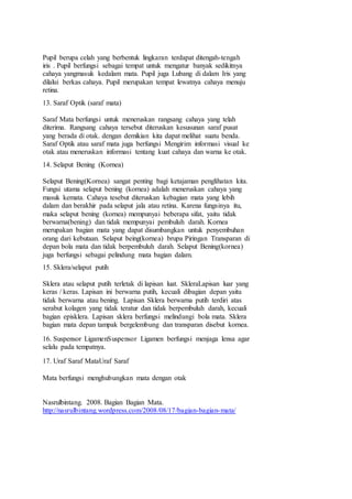 Pupil berupa celah yang berbentuk lingkaran terdapat ditengah-tengah
iris . Pupil berfungsi sebagai tempat untuk mengatur banyak sedikitnya
cahaya yangmasuk kedalam mata. Pupil juga Lubang di dalam Iris yang
dilalui berkas cahaya. Pupil merupakan tempat lewatnya cahaya menuju
retina.
13. Saraf Optik (saraf mata)
Saraf Mata berfungsi untuk meneruskan rangsang cahaya yang telah
diterima. Rangsang cahaya tersebut diteruskan kesusunan saraf pusat
yang berada di otak. dengan demikian kita dapat melihat suatu benda.
Saraf Optik atau saraf mata juga berfungsi Mengirim informasi visual ke
otak atau meneruskan informasi tentang kuat cahaya dan warna ke otak.
14. Selaput Bening (Kornea)
Selaput Bening(Kornea) sangat penting bagi ketajaman penglihatan kita.
Fungsi utama selaput bening (kornea) adalah meneruskan cahaya yang
masuk kemata. Cahaya tesebut diteruskan kebagian mata yang lebih
dalam dan berakhir pada selaput jala atau retina. Karena fungsinya itu,
maka selaput bening (kornea) mempunyai beberapa sifat, yaitu tidak
berwarna(bening) dan tidak mempunyai pembuluh darah. Kornea
merupakan bagian mata yang dapat disumbangkan untuk penyembuhan
orang dari kebutaan. Selaput being(kornea) brupa Piringan Transparan di
depan bola mata dan tidak berpembuluh darah. Selaput Bening(kornea)
juga berfungsi sebagai pelindung mata bagian dalam.
15. Sklera/selaput putih
Sklera atau selaput putih terletak di lapisan luat. SkleraLapisan luar yang
keras / keras. Lapisan ini berwarna putih, kecuali dibagian depan yaitu
tidak berwarna atau bening. Lapisan Sklera berwarna putih terdiri atas
serabut kolagen yang tidak teratur dan tidak berpembuluh darah, kecuali
bagian episklera. Lapisan sklera berfungsi melindungi bola mata. Sklera
bagian mata depan tampak bergelembung dan transparan disebut kornea.
16. Suspensor LigamenSuspensor Ligamen berfungsi menjaga lensa agar
selalu pada tempatnya.
17. Uraf Saraf MataUraf Saraf
Mata berfungsi menghubungkan mata dengan otak
Nasrulbintang. 2008. Bagian Bagian Mata.
http://nasrulbintang.wordpress.com/2008/08/17/bagian-bagian-mata/
 