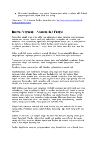  Membunuh kuman-kuman yang masuk, bersama-sama udara pernafasan oleh leukosit
yang terdapat dalam selaput lendir atau hidung.
Arispurnomo. 2010. Anatomi fisiologi pernafasan atas. http://arispurnomo.com/anatomi-
fisiologi-pernafasan-atas
Indera Pengecap – Anatomi dan Fungsi
Pancaindera adalah organ-organ akhir yang dikhususkan untuk menerima jenis rangsangan
tertentu pada manusia. Serabut saraf yang melayaninya merupakan alit perantara yang
membawa kesan rasa (sensory impression) dari organ indera menuju otak, di mana perasaan
itu ditafsirkan. Beberapa kesan rasa timbul dari luar, seperti sentuhan, pengecapan,
penglihatan, penciuman, dan suara. Lainnya timbul dari dalam, antara lain lapar, haus dan
rasa sakit.
Dalam segala hal, serabut saraf-saraf sensorik dilengkapi dengan ujungakhir-khusus guna
mengumpulkan rangsangan perasaan yang khas itu; di mana setiap organ berhubungan.
Nampaknya, kita seolah-olah mengecap dengan ujung saraf pada Iidah, mendengar dengan
saraf dalam telinga, dan seterusnya, tetapi sesungguhnya otaklah yang menilai semua
perasaan itu.
Penjelasan tentang rasa sentuhan telah diuraikan pada catatan mengenai kulit.
Pada hekekatnya, lidah mempunyai hubungan yang sangat erat dengan indera khusus
pengecap. Lidah sebagian besar terdiri dari dua kelompok otot. Otot intrinsik Iidah
melakukan semua gerakan halus, sementara otot extrinsik mengaitkan lidah pada bagian-
bagian sekitarnya serta melaksanakan gerakan-gerakan-kasar yang sangat penting pada saat
mengunyah dan menelan. Lidah mengaduk-aduk makanan, menekannya pada langit-langit
dan gigi. dan akhirnya mendorongnya masuk farinx.
Lidah terletak pada dasar mulut, sementara pembuluh darah dan urat saraf masuk dan keluar
pada akarnya. Ujung serta pinggiran Iidah bersentuhan dengan gigi-gigi bawah, sementara
dorsum merupakan permukaan melengkung pada bagian atas lidah. Bila lidah digulung ke
belakang, maka tampaklah permukaan bawahnya yang disebut frenulum linguae, sebuah
struktur ligamen halus yang mengaitkan bagian posterior lidah pada dasar mulut. Bagian
anterior lidah bebas tidak terkait. Bila dijulurkan, maka ujung Iidah meruncing, dan bila
terletak tenang di dasar mulut, maka ujung lidah berbentuk bulat.
Selaput lendir (membran mukosa) lidah selalu lembab, dan pada waktu se- hat berwarna
merah jambu. Permukaan atasnya seperti beludru dan ditutupi plpil-papil, yang terdiri atas
tiga jenis.
Papillae sirkumvalata. Ada delapan hingga dua belas buah dari jenis ini yang terletak pada
bagian dasar lidah. Papillae sirkumvalata adalah jenis papillae yang terbesar, dan masing-
masing dikelilingi semacam lekukan seperti parit. Papillae ini tersusun berjejer membentuk
huruf V pada bagian belakang lidah.
Papillae fungiformis menyebar pada permukaan ujung dan sisi lidah, dan berbentuk jamur.
 