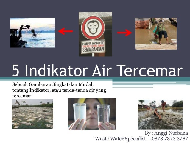 5 Indikator Air Tercemar Tanda Tanda Air Tercemar Sumber Pencemaran 5 Indikator Air Tercemar Tanda Tanda Air Tercemar Sumber Pencemaran