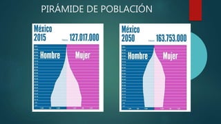 PIRÁMIDE DE POBLACIÓN
 