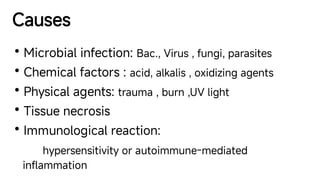 Comprehensive Overview of Inflammation: Mechanisms, Types, and Cellular ...