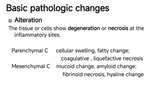 Comprehensive Overview of Inflammation: Mechanisms, Types, and Cellular ...