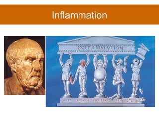 Inflammation 