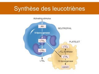 Synthèse des leucotriènes 