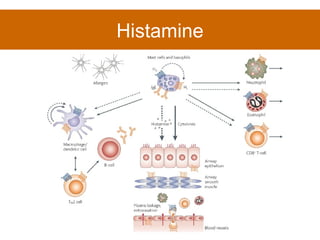 Histamine 