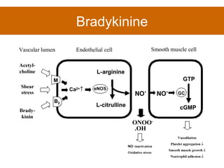 Bradykinine 