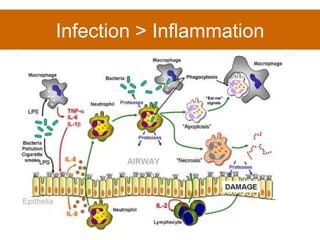 Infection > Inflammation 