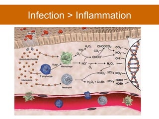 Infection > Inflammation 
