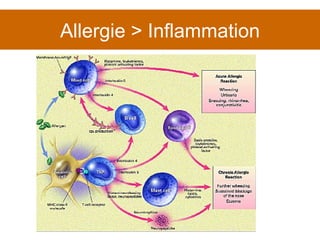 Allergie > Inflammation 