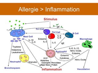 Allergie > Inflammation 