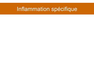 Inflammation spécifique 