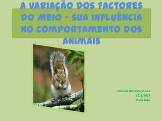 A Variação dos Factores
do Meio – sua Influência
no Comportamento dos
Animais

Ciências Naturais, 5º ano
2013/2014
Maria João

 
