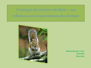 A Variação dos Factores doMeio –sua
InfluêncianoComportamento dos Animais
Ciências Naturais, 5º ano
2015/2016
Maria João
 