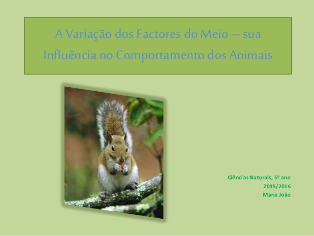 A Variação dos Factores doMeio –sua
InfluêncianoComportamento dos Animais
Ciências Naturais, 5º ano
2015/2016
Maria João
 
