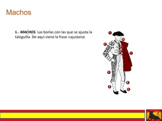 Machos

  6.- MACHOS. Las borlas con las que se ajusta la
  taleguilla. De aquí viene la frase «ajustarse
 