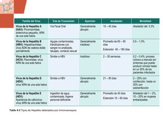 GDS_0418723_McClelland_v4 119
Table 4-3 Tipos de Hepatitis detectados por Inmonoensayos
Familia del Virus Vías de Transmisión Aparición Incubación Mortalidad
Virus de la Hepatitis A
(HAV): Picornaviridae;
enterovirus pequeño, ARN
de una sola hebra
Vía Fecal Oral Generalmente
abrupto
15 – 45 días Alrededor del 0.3%
Virus de la Hepatitis B
(HBV): Hepadnaviridae;
virus ADN de cadena doble
parcialmente
Agujas contaminadas,
transfusiones con
sangre no analizada,
tatuajes, contacto sexual
Generalmente
insidioso
Promedio de 60 – 90
días
Extensión 45 – 180 días
0.5 – 1.0%
Virus de la Hepatitis C
(HCV): Flaviviridae; virus
ARN de una sola hebra
Similar a HBV Insidioso 2 – 26 semanas 0.2 – 0.4%; proceso
crónico a menudo sin
síntomas que puede
producir cirrosis hasta
en un 30% de los
pacientes infectados
Virus de la Hepatitis D
(HDV):
virus ARN de una sola hebra
Similar a HBV Generalmente
abrupto
21 – 90 días 2 – 20% con
coinfección, hasta un
30% con
sobreinfección
Virus de la Hepatitis E
(HEV):
Apariencia de calicivirus;
virus ARN de una sola hebra
Ingestión de agua
contaminada, higiene
personal deficiente
Generalmente
abrupto
Promedio de 40 días
Extensión 15 – 60 días
Alrededor del 1 – 2%,
15 – 20% en mujeres
embarazadas
 