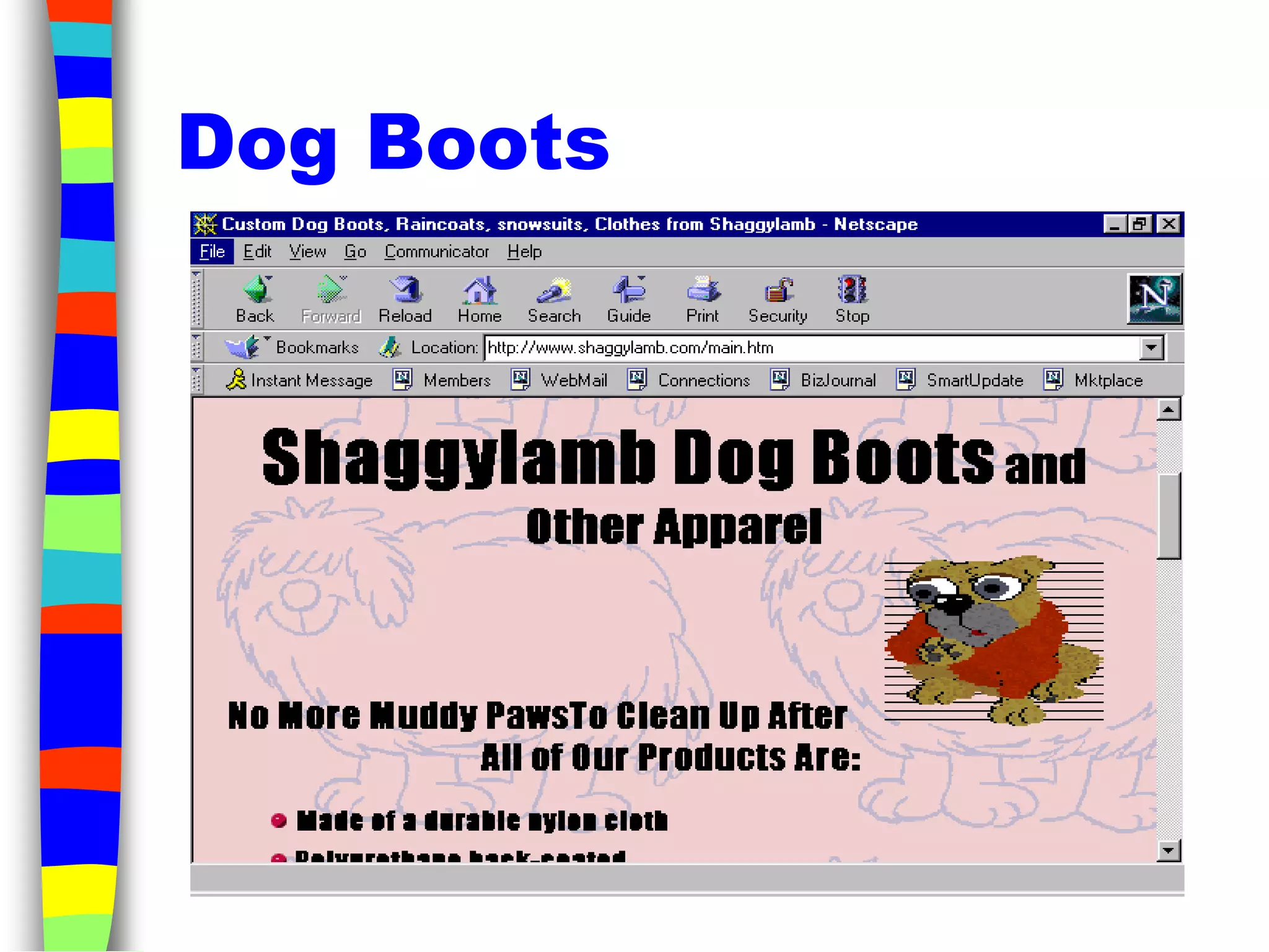 Dog Boots
 