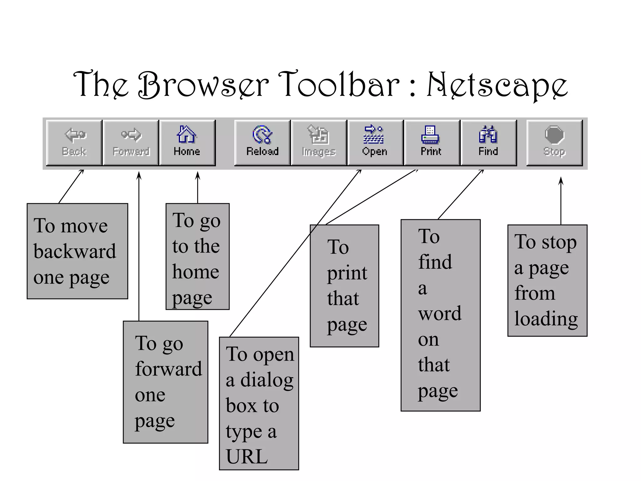 The Browser Toolbar : Netscape
To go
forward
one
page
To go
to the
home
page
To
find
a
word
on
that
page
To
print
that
page
To stop
a page
from
loading
To move
backward
one page
To open
a dialog
box to
type a
URL
 