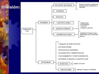 División:




            4
 