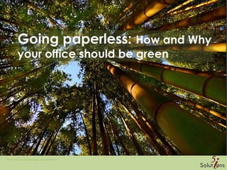 Going paperless: How and Why
your office should be green
Photo: flickr.com/photos/aigle_dore/5626285743
 