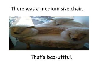There was a medium size chair.




        That’s baa-utiful.
 