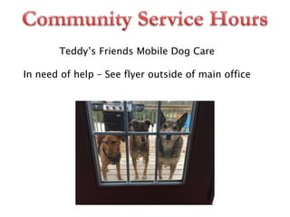Teddy’s Friends Mobile Dog Care
In need of help – See flyer outside of main office