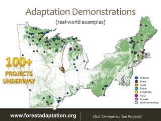 www.forestadaptation.org Click ‘Demonstration Projects’
Adaptation Demonstrations
(real-world examples)
 