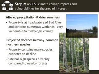 1
2
34
5 Step 2: ASSESS climate change impacts and
vulnerabilities for the area of interest.
Altered precipitation & drier summers
 Property is at headwaters of Bad River
and contains numerous wetlands– very
vulnerable to hydrologic change
Projected declines in many common
northern species
 Property contains many species
expected to decline
 Site has high species diversity
compared to nearby forests
 