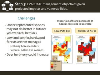 1
2
34
5 Step 3: EVALUATE management objectives given
projected impacts and vulnerabilities.
Challenges
 Under-represented species
may not do better in future:
yellow birch, hemlock
 Lowland conifer/hardwood
forests are not managed
• Declining boreal conifers
• Potential EAB in ash swamps
 Deer herbivory could increase
Proportion of Stand Composed of
Species Projected to Decrease
 