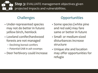 1
2
34
5 Step 3: EVALUATE management objectives given
projected impacts and vulnerabilities.
Challenges Opportunities
 Some species (white pine
and red oak) may fare
same or better in future
 Small- or medium-sized
disturbances increase
structure
 Unique site and location
may offer opportunities for
refugia
 Under-represented species
may not do better in future:
yellow birch, hemlock
 Lowland conifer/hardwood
forests are not managed
• Declining boreal conifers
• Potential EAB in ash swamps
 Deer herbivory could increase
 