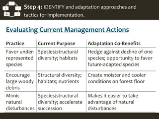 1
2
34
5 Step 4: IDENTIFY and adaptation approaches and
tactics for implementation.
Evaluating Current Management Actions
Practice Current Purpose Adaptation Co-Benefits
Favor under-
represented
species
Species/structural
diversity; habitats
Hedge against decline of one
species; opportunity to favor
future-adapted species
Encourage
large woody
debris
Structural diversity;
habitats; nutrients
Create moister and cooler
conditions on forest floor
Mimic
natural
disturbances
Species/structural
diversity; accelerate
succession
Makes it easier to take
advantage of natural
disturbances
 