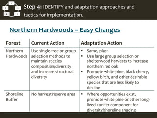 1
2
34
5 Step 4: IDENTIFY and adaptation approaches and
tactics for implementation.
Northern Hardwoods – Easy Changes
Forest Current Action Adaptation Action
Northern
Hardwoods
Use single-tree or group
selection methods to
maintain species
composition/diversity
and increase structural
diversity
 Same, plus:
 Use large group selection or
shelterwood harvests to increase
northern red oak
 Promote white pine, black cherry,
yellow birch, and other desirable
species that are less likely to
decline
Shoreline
Buffer
No harvest reserve area  Where opportunities exist,
promote white pine or other long-
lived conifer component for
diversity/shoreline shading
 