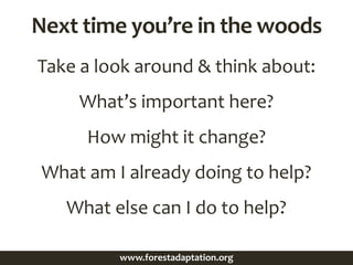 Next time you’re in the woods
Take a look around & think about:
What’s important here?
How might it change?
What am I already doing to help?
What else can I do to help?
www.forestadaptation.org
 