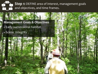 1
2
34
5 Step 1: DEFINE area of interest, management goals
and objectives, and time frames.
Management Goals & Objectives
 Early-successional habitat
 Scenic Integrity
 