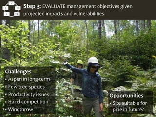 Challenges
 Aspen in long-term
 Few tree species
 Productivity issues
 Hazel competition
 Windthrow
1
2
34
5 Step 3: EVALUATE management objectives given
projected impacts and vulnerabilities.
Opportunities
 Site suitable for
pine in future?
 