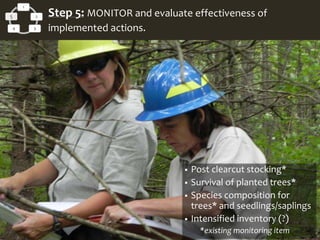  Post clearcut stocking*
 Survival of planted trees*
 Species composition for
trees* and seedlings/saplings
 Intensified inventory (?)
*existing monitoring item
1
2
34
5 Step 5: MONITOR and evaluate effectiveness of
implemented actions.
 