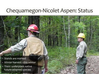 Chequamegon-Nicolet Aspen: Status
• Stands are marked
• Winter harvest –this winter
• Then: underplant native
future-adapted species
 