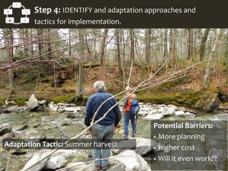 Potential Barriers:
 More planning
 Higher cost
 Will it even work??
Adaptation Tactic: Summer harvest
1
2
34
5 Step 4: IDENTIFY and adaptation approaches and
tactics for implementation.
 
